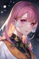 柚子软包
