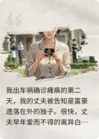 我瘫痪后,丈夫成了富豪之子