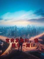 官府发媳妇，我要生一窝！