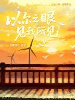 以尔之眼，见我所见