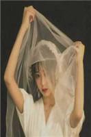 重生曹昂：开局截胡典韦