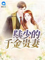 陆少的千金贵妻