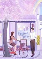 病娇盟友的致命赌约