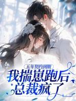 五年契约到期，我揣崽跑后总裁疯了