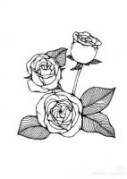 时光逆流：六岁的复仇与救赎