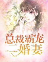 总裁霸宠二婚妻