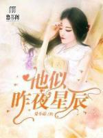 他似昨夜星辰