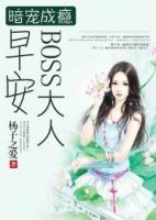 暗宠成瘾：早安，BOSS大人