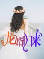 龙婿归来