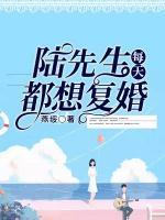 陆先生每天都想复婚