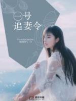 1号追妻令