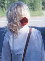 腹黑双宝：冷情爹地很柔情