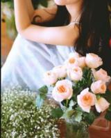 墨少的秘密婚妻