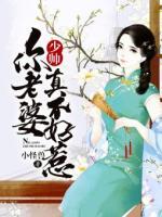 少帅，你老婆真不好惹