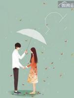 总裁追妻火葬场