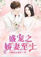 盛宠之娇妻至上