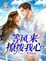 等风来，撩拨我心