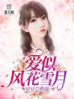 爱似风花雪月