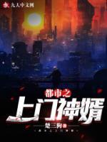 都市之上门神婿