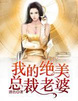 我的绝美总裁老婆