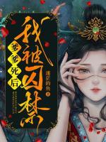 爹爹死后我被囚禁